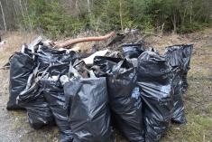 Ukliďme Kaznějov - likvidace černých skládek v lese u kaolinky